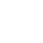Pineapple Electric