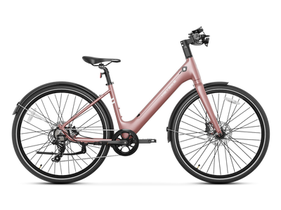 EC 1-ST Commuter E-bike